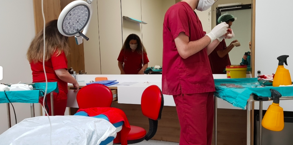 Natural Clinic Dentist